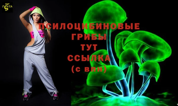 СК Заводоуковск