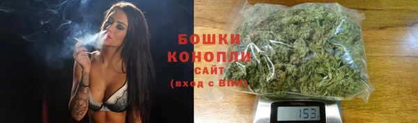 тгк Елизово