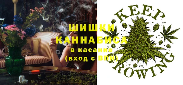 дурь Ельня