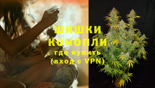 СК Заводоуковск