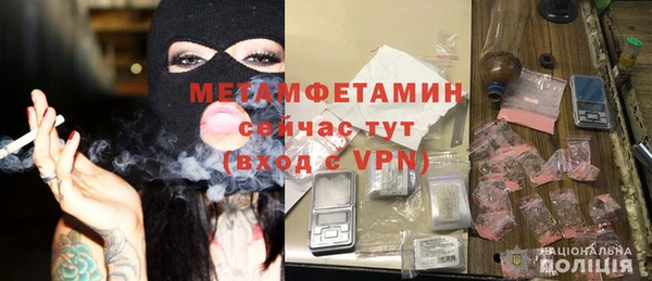 дурь Ельня