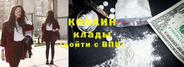 тгк Елизово