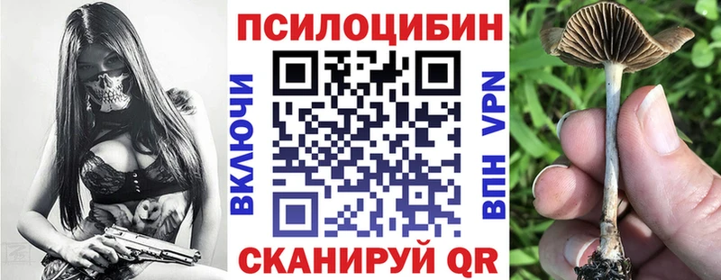 Купить закладки  Жуковка  Псилоцибиновые грибы ЛСД 