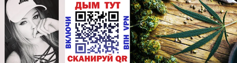 Марихуана сатива  Купить где  Жуковка 